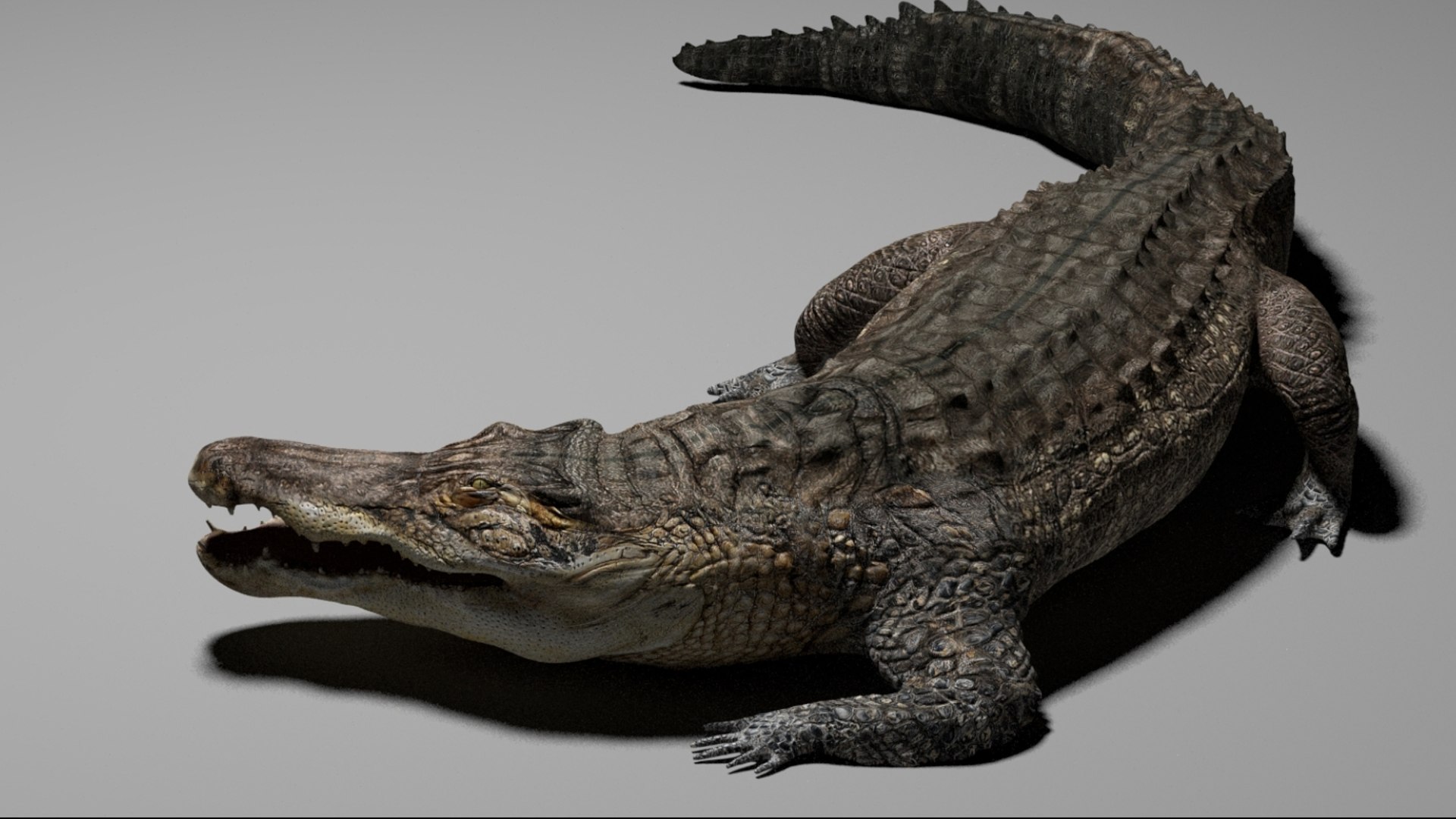Crocodile Rigged 3D 3D https://p.turbosquid.com/ts-thumb/6S/H4MR3h/78/10/jpg/1761195199/1920x1080/fit_q87/b8b61b76bffbb5b66b85508981314c064568ed81/10.jpg