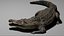 Crocodile Rigged 3D 3D