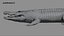 Crocodile Rigged 3D 3D