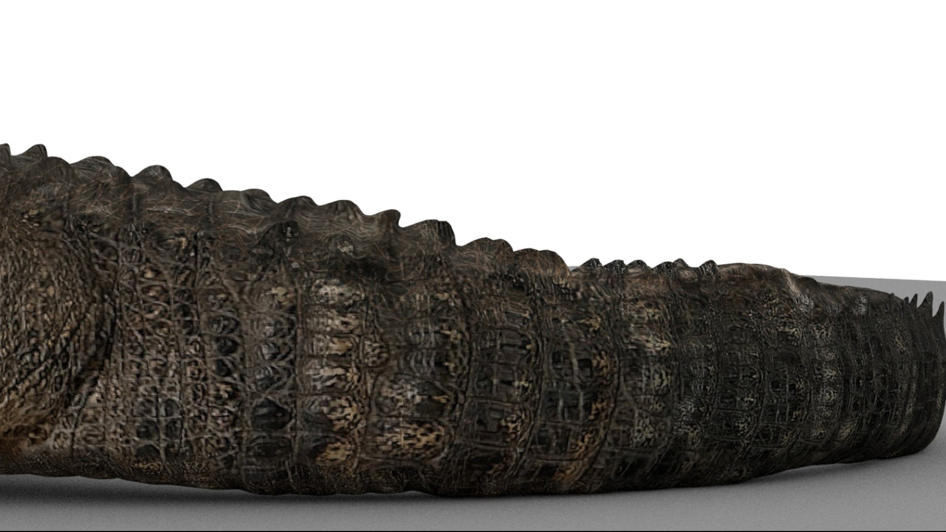 Crocodile Rigged 3D 3D https://p.turbosquid.com/ts-thumb/6S/H4MR3h/HQ/14/jpg/1761195200/1920x1080/fit_q87/2adba1d743081c0220440af3eb5d86a78878e659/14.jpg