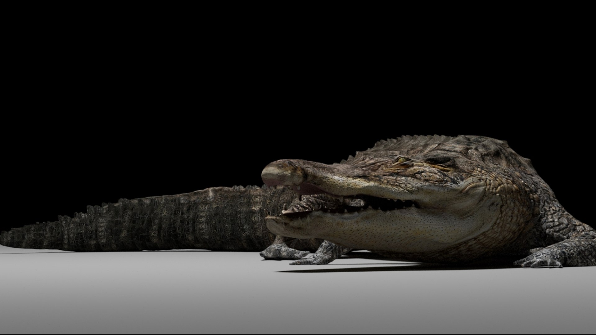 Crocodile Rigged 3D 3D https://p.turbosquid.com/ts-thumb/6S/H4MR3h/He/07/jpg/1761195197/1920x1080/fit_q87/9ec609d49c29246706ceaa95f8eb2c08ea01871f/07.jpg