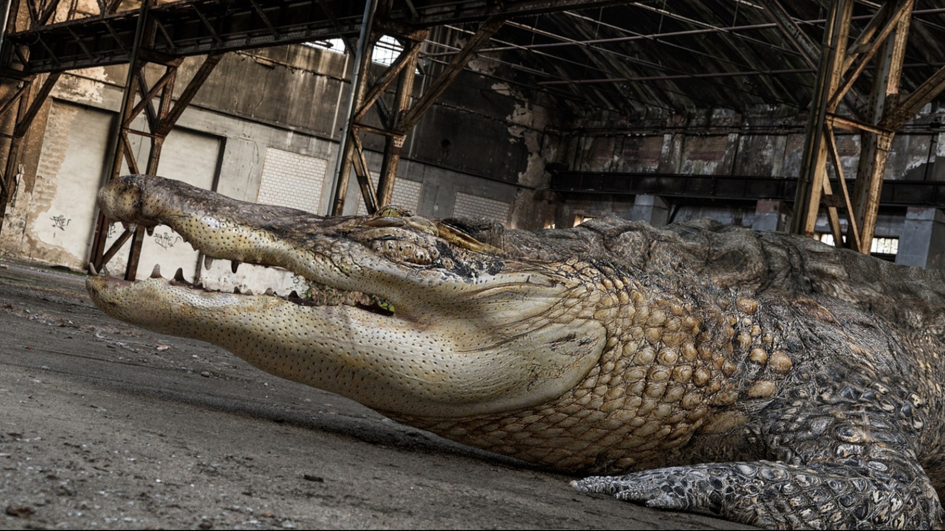 Crocodile Rigged 3D 3D https://p.turbosquid.com/ts-thumb/6S/H4MR3h/I1/04/jpg/1761195195/1920x1080/fit_q87/5c3765828a5c1150fb859b6e933313ef7097a03b/04.jpg