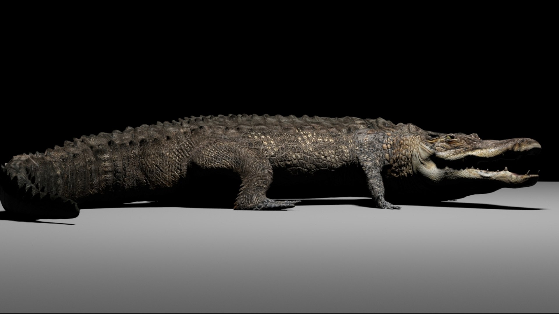 Crocodile Rigged 3D 3D https://p.turbosquid.com/ts-thumb/6S/H4MR3h/J3/06/jpg/1761195196/1920x1080/fit_q87/6cce4fb20f039dc6f60c46896e3ae366ac584e7a/06.jpg
