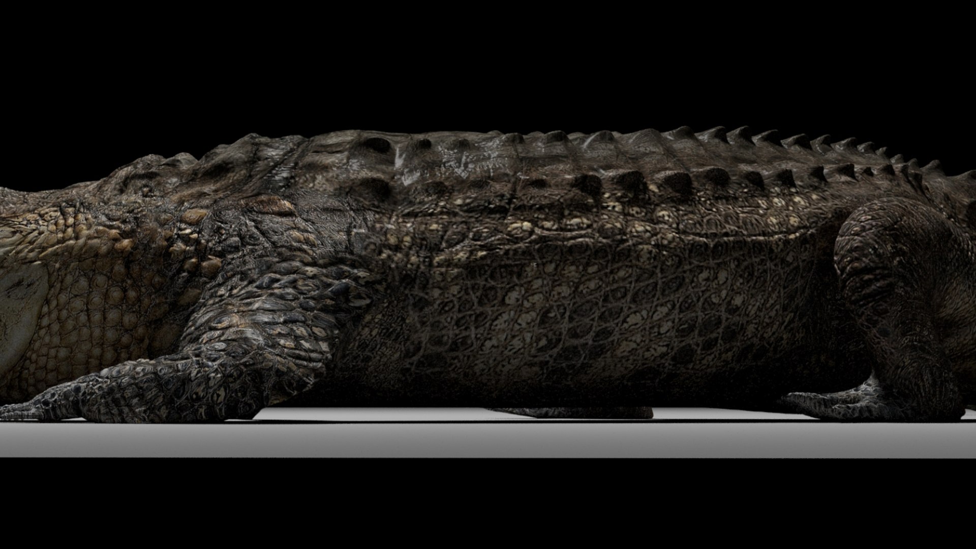 Crocodile Rigged 3D 3D https://p.turbosquid.com/ts-thumb/6S/H4MR3h/KA/08/jpg/1761195198/1920x1080/fit_q87/11ab3ebb30bd8c600e29d6287c41eb0902bd2552/08.jpg