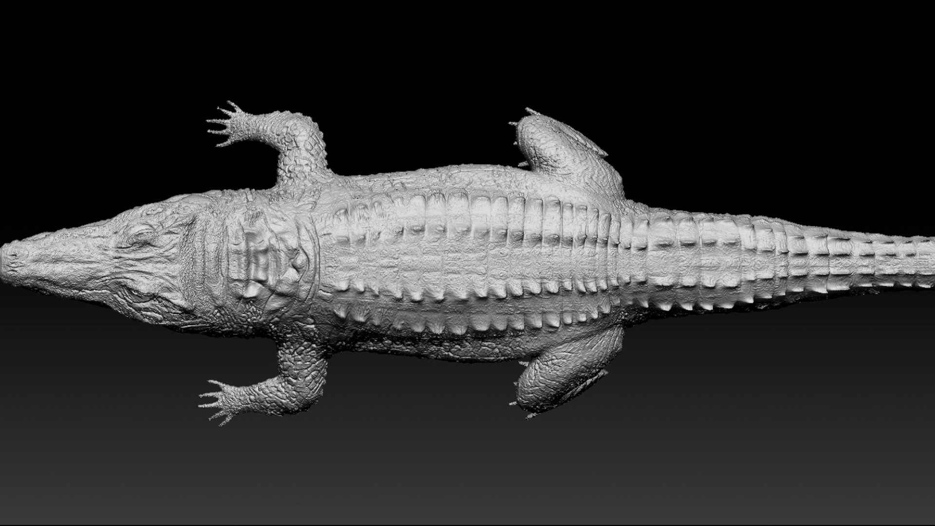 Crocodile Rigged 3D 3D https://p.turbosquid.com/ts-thumb/6S/H4MR3h/MD/26/jpg/1761195206/1920x1080/fit_q87/661297e7e37fc6081577fafa58ac8f96531ed2dc/26.jpg