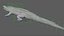 Crocodile Rigged 3D 3D