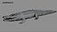 Crocodile Rigged 3D 3D