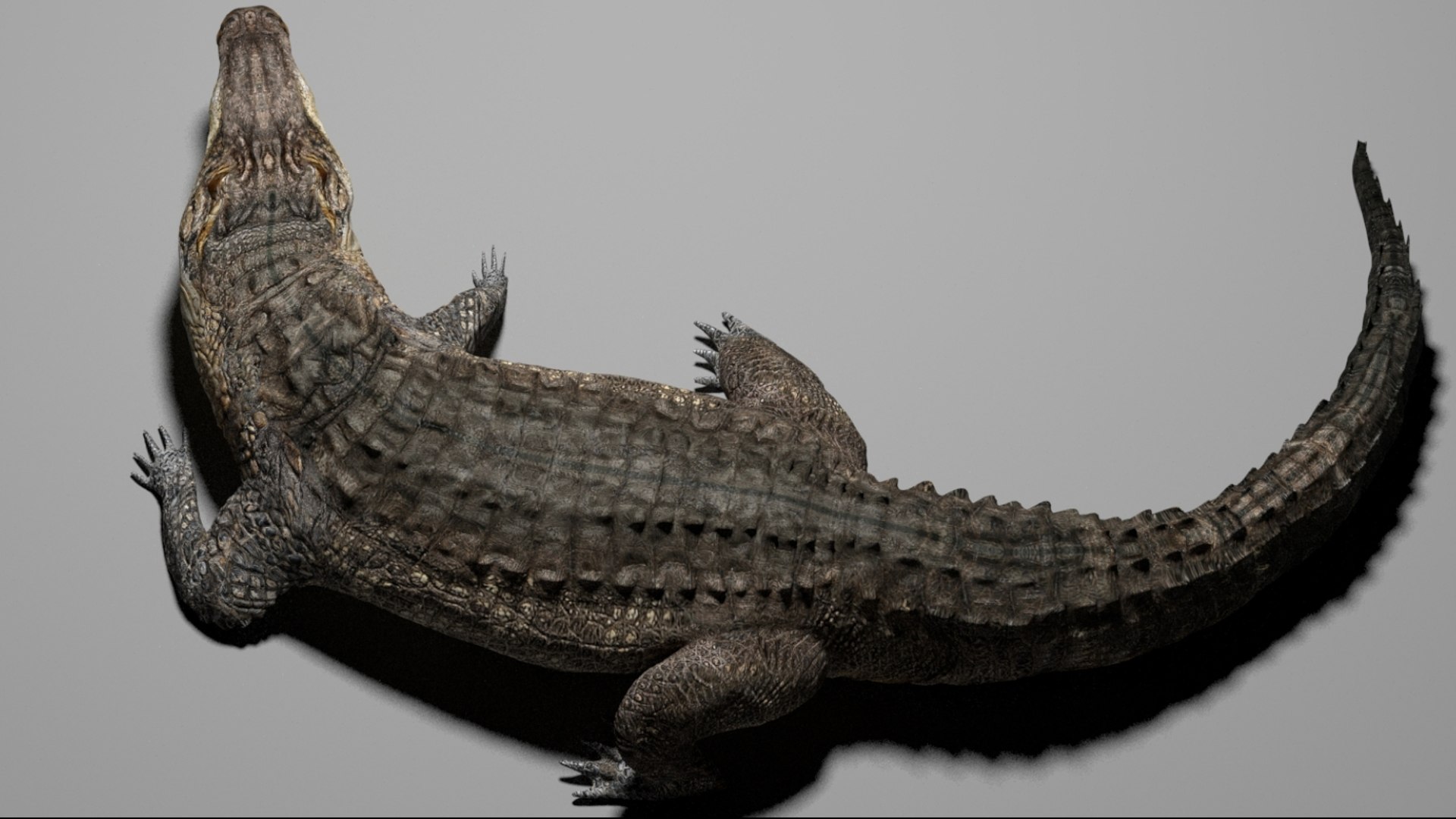 Crocodile Rigged 3D 3D https://p.turbosquid.com/ts-thumb/6S/H4MR3h/ar/09/jpg/1761195198/1920x1080/fit_q87/d0159978784faa6c6f2c59059429d0c35e868e4d/09.jpg