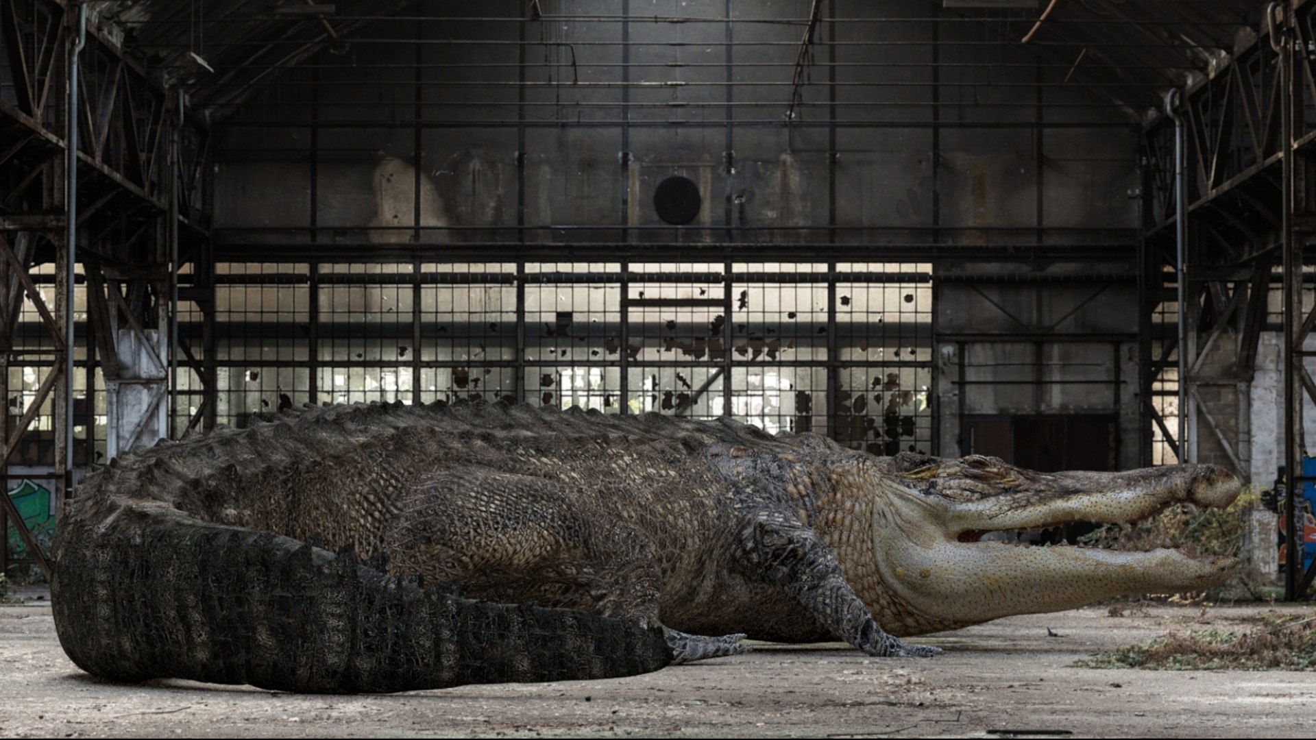 Crocodile Rigged 3D 3D https://p.turbosquid.com/ts-thumb/6S/H4MR3h/bt/05/jpg/1761195196/1920x1080/fit_q87/1dae7f95c2e05af2c5c4edff334bc1657caf3e33/05.jpg