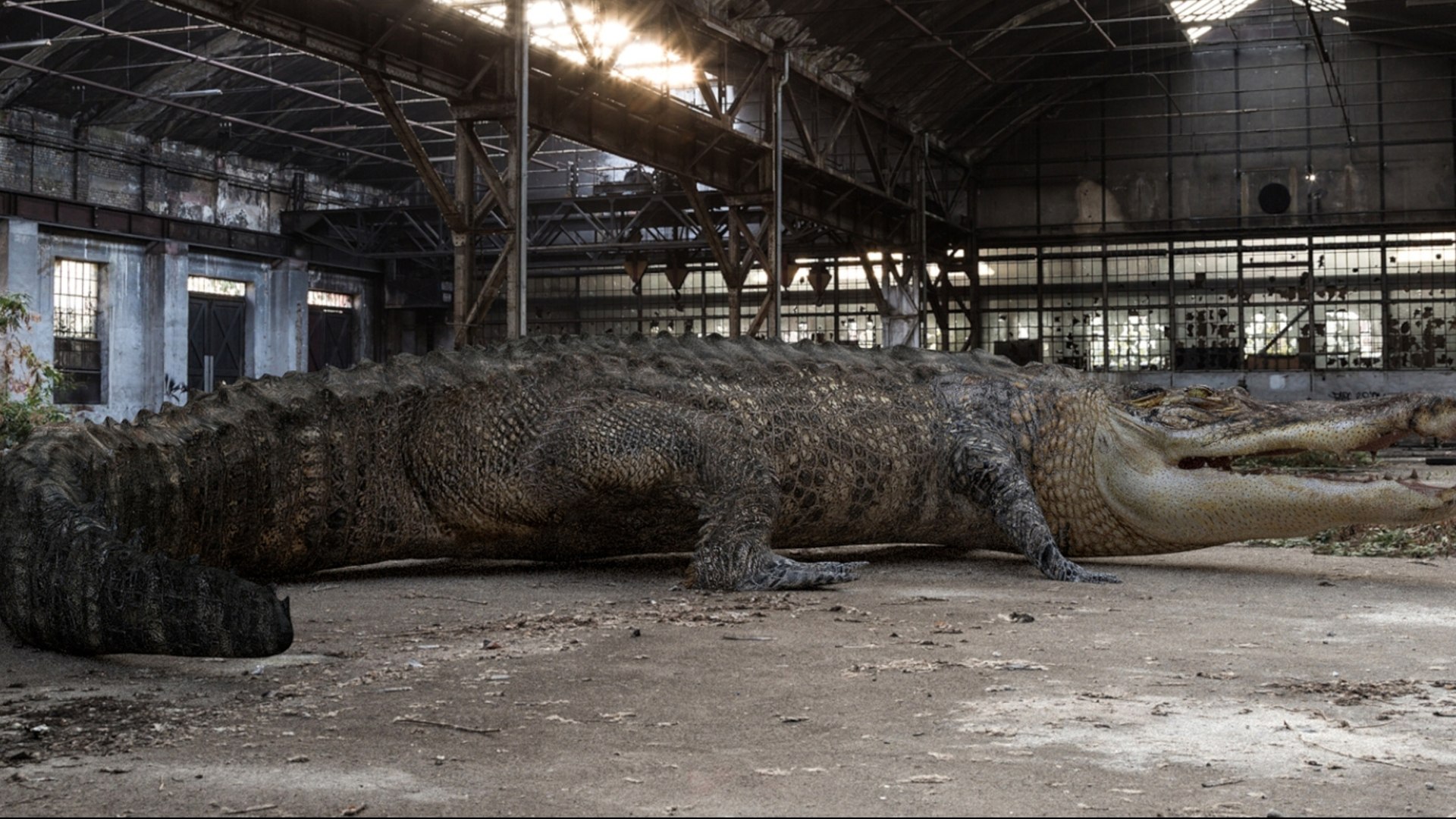 Crocodile Rigged 3D 3D https://p.turbosquid.com/ts-thumb/6S/H4MR3h/sb/03/jpg/1761195195/1920x1080/fit_q87/7489f53f5ba6f43319ee5a6dbb0242e764facf28/03.jpg