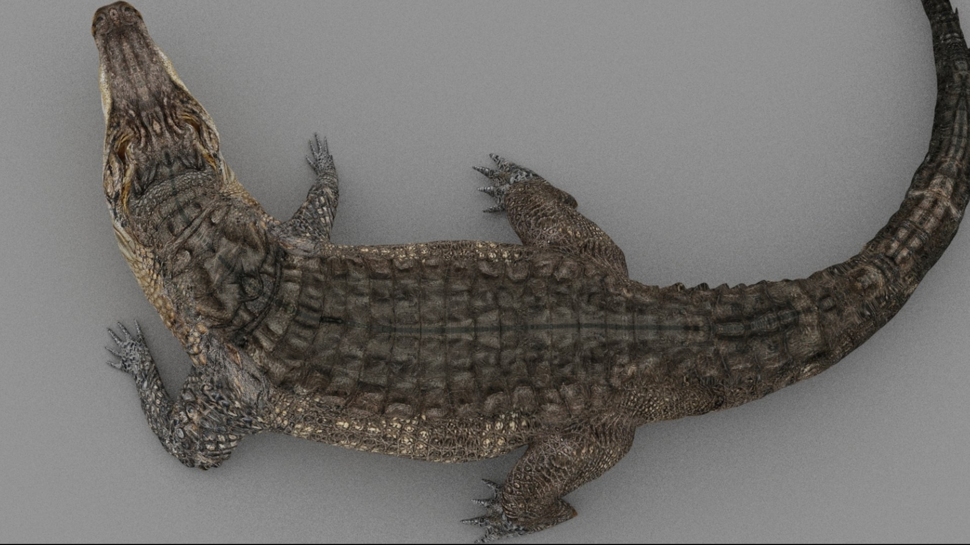 Crocodile Rigged 3D 3D https://p.turbosquid.com/ts-thumb/6S/H4MR3h/ya/15/jpg/1761195201/1920x1080/fit_q87/2467e36ce2e5bd31288326e97f8875806350a33f/15.jpg