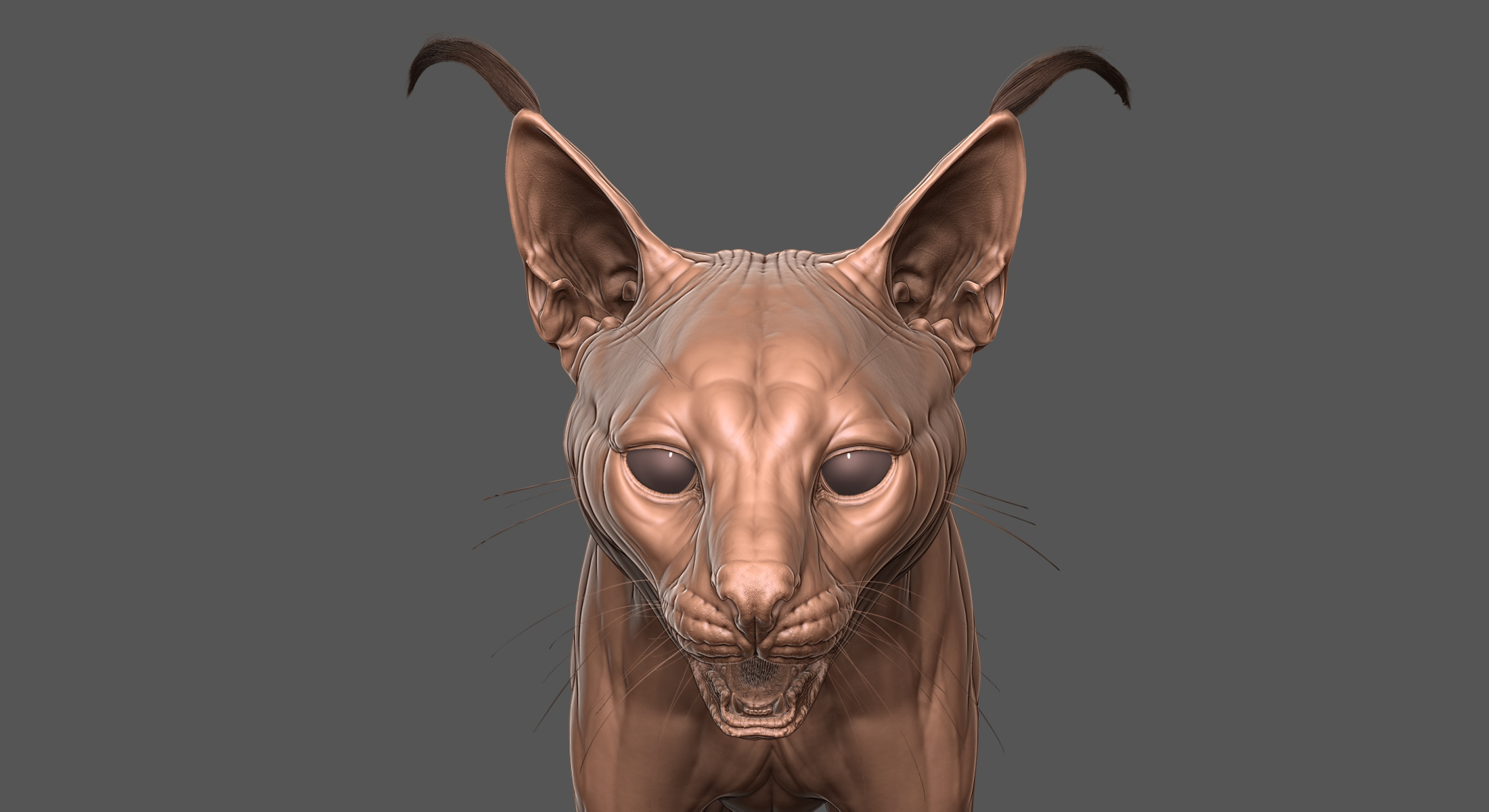 Fully Detailed Caracal Cat Zbrush Sculpt 3D model - TurboSquid 1846595