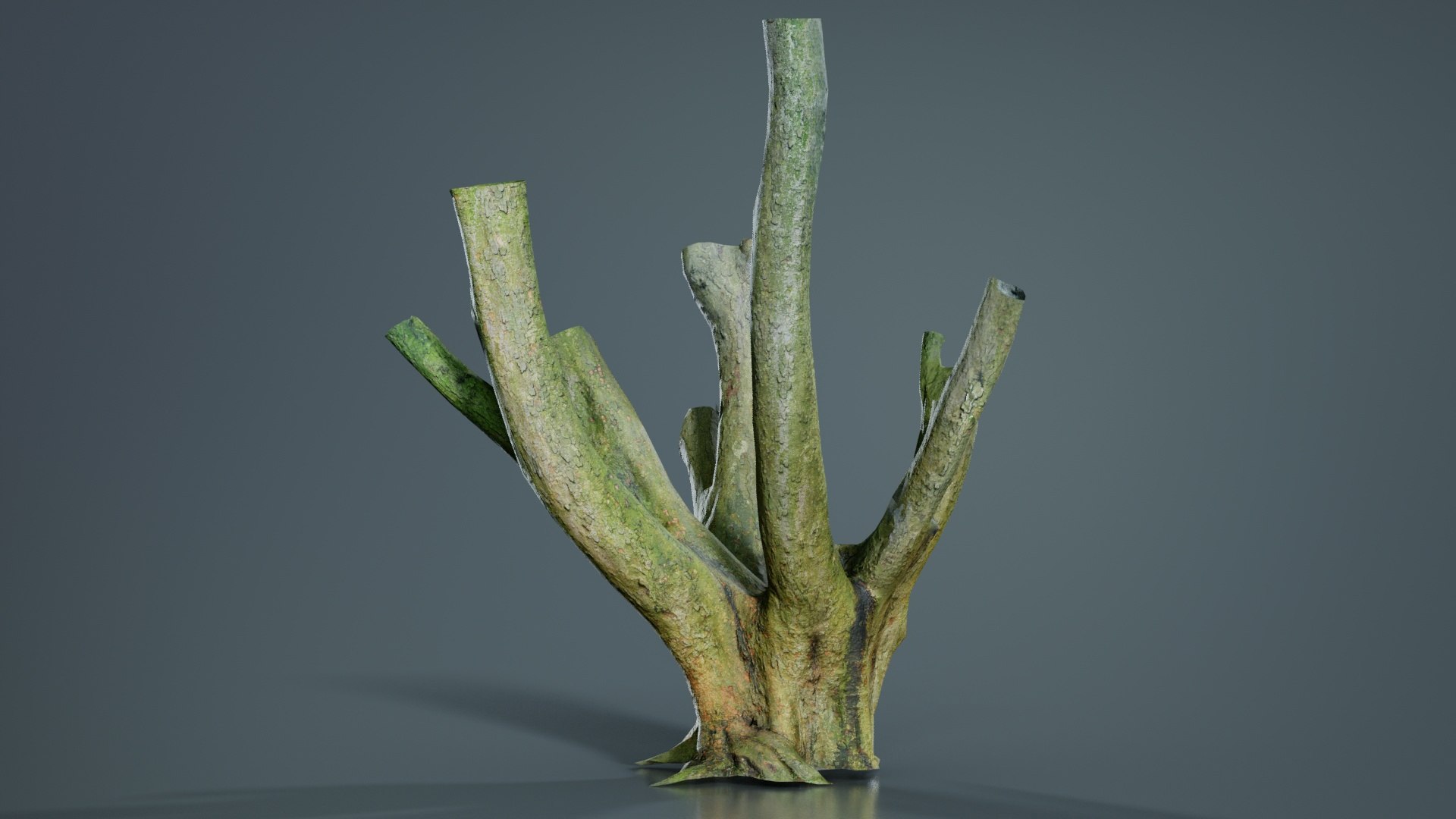 Wide Base With Offshoots Tree Trunk Remastered Model - TurboSquid 2363184