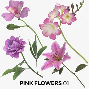 3D pink flowers 01