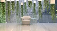 hanging plants 2