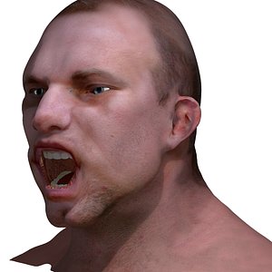 Man Head Rigged