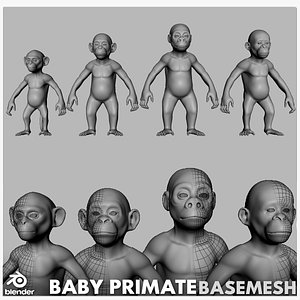 PrimateBaby
