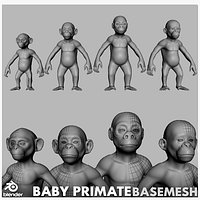 PrimateBaby