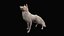 Cane animato