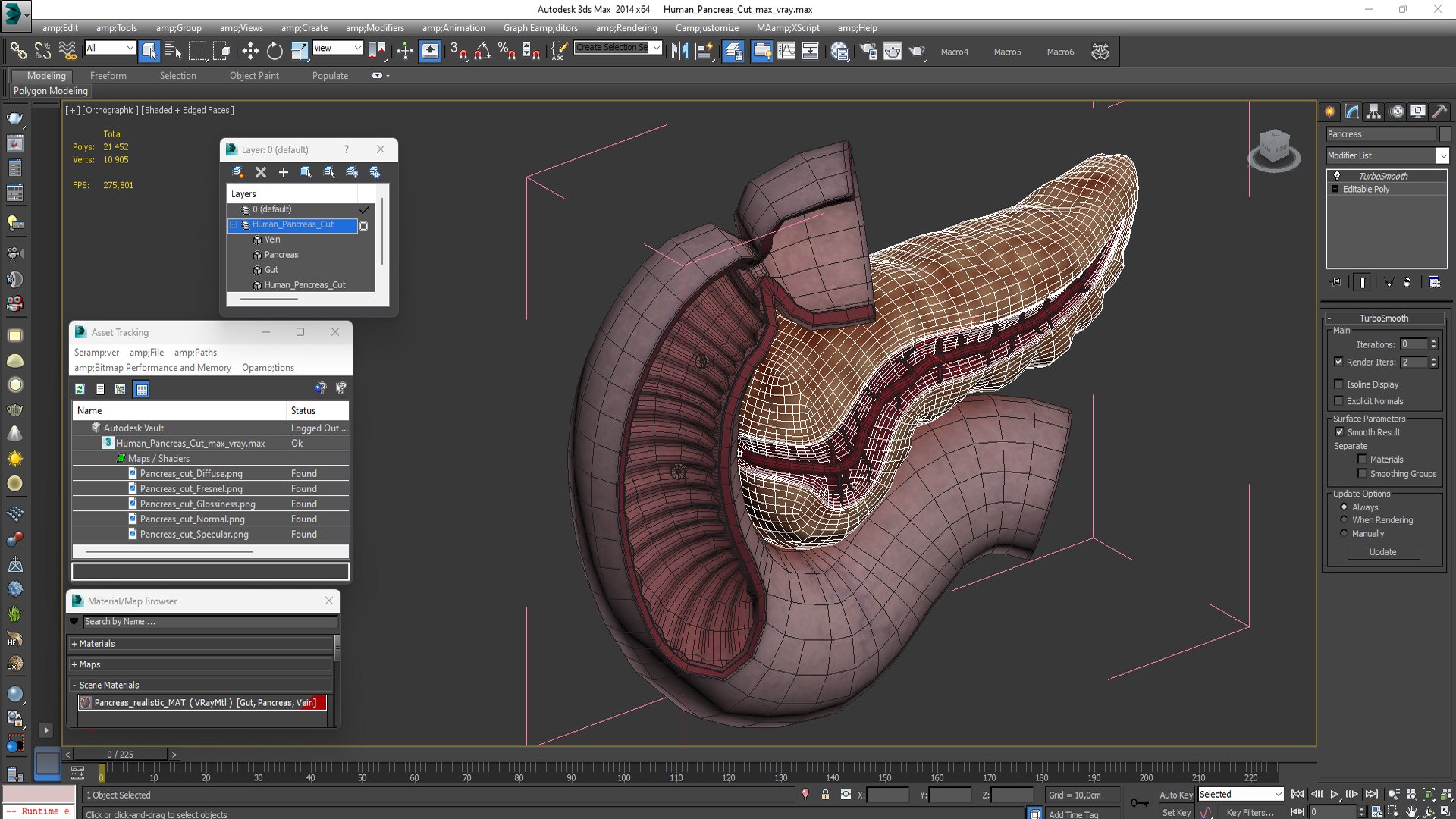 Human Pancreas Cut 3D model https://p.turbosquid.com/ts-thumb/6S/hgKR82/Ft/humanpancreascutmb3dmodel022/jpg/1720402904/1920x1080/fit_q87/b0665256d7c89cb9f1dd28ca43eff34d80fad93e/humanpancreascutmb3dmodel022.jpg