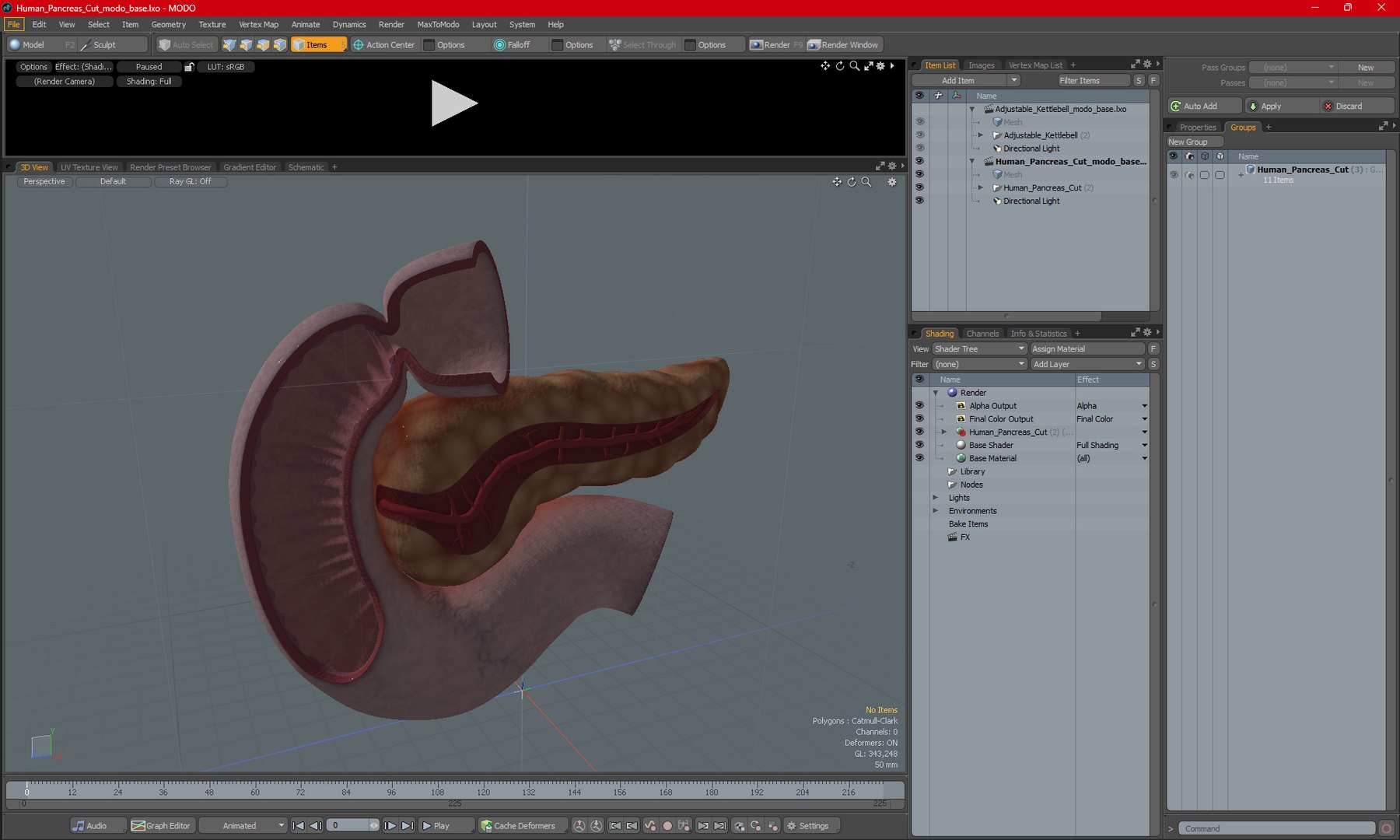 Human Pancreas Cut 3D model https://p.turbosquid.com/ts-thumb/6S/hgKR82/fg/humanpancreascutmb3dmodel026/jpg/1720402920/1920x1080/fit_q87/692f6ad83624a5b26331150f88d690a6e64097f1/humanpancreascutmb3dmodel026.jpg