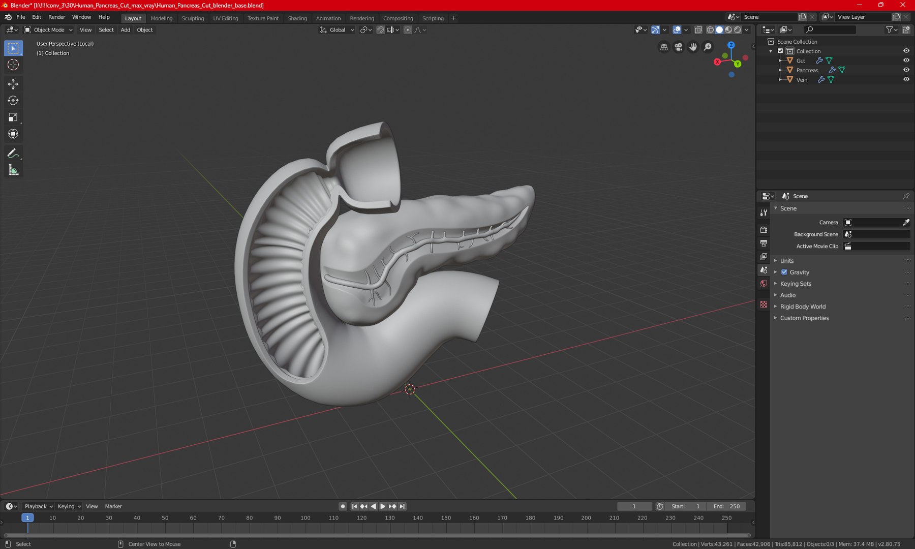 Human Pancreas Cut 3D model https://p.turbosquid.com/ts-thumb/6S/hgKR82/oz/humanpancreascutmb3dmodel025/jpg/1720402916/1920x1080/fit_q87/59fe7e551dfe098ff91f02f4f452150abf6fff0d/humanpancreascutmb3dmodel025.jpg