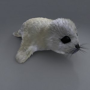 3d obj baby seal