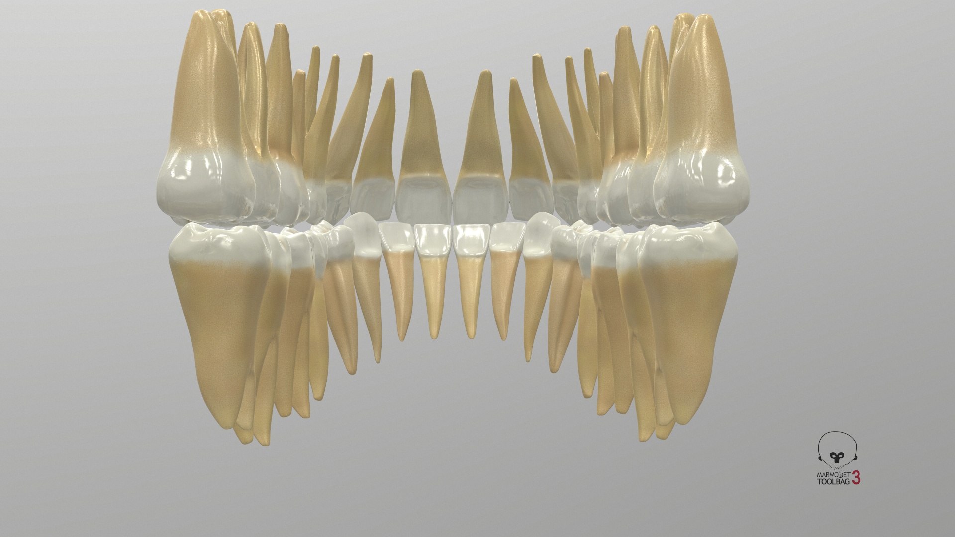 3D Human Teeth With Self Ligating Transparent Dental Braces V01 model https://p.turbosquid.com/ts-thumb/6S/lOxmjB/Ac/screenshot002/jpg/1699201695/1920x1080/fit_q87/2581f8fe8c1ab283bc457cbb10dbcc58fb6e7956/screenshot002.jpg