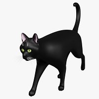 Domestic Black Cat 001