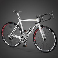 Colnago V1-R Roadbike