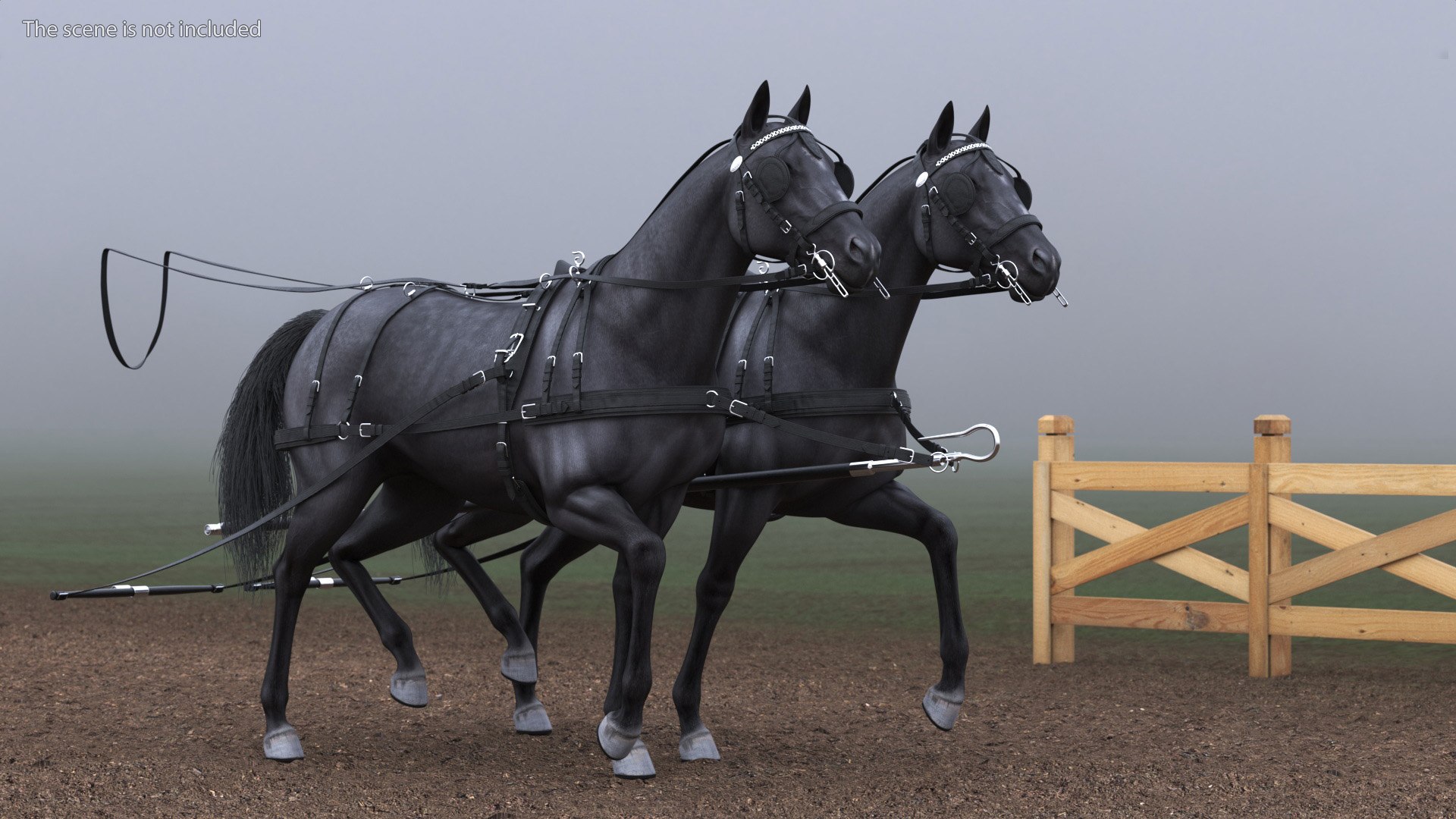 3D Pair of Black Breast Collar Harness Walking Pose https://p.turbosquid.com/ts-thumb/6S/uGX3T2/1X/pair_of_black_breast_collar_harness_walking_pose_003/jpg/1740734646/1920x1080/fit_q87/f184d253684593c8271d88c05130fbcfc48ad81b/pair_of_black_breast_collar_harness_walking_pose_003.jpg