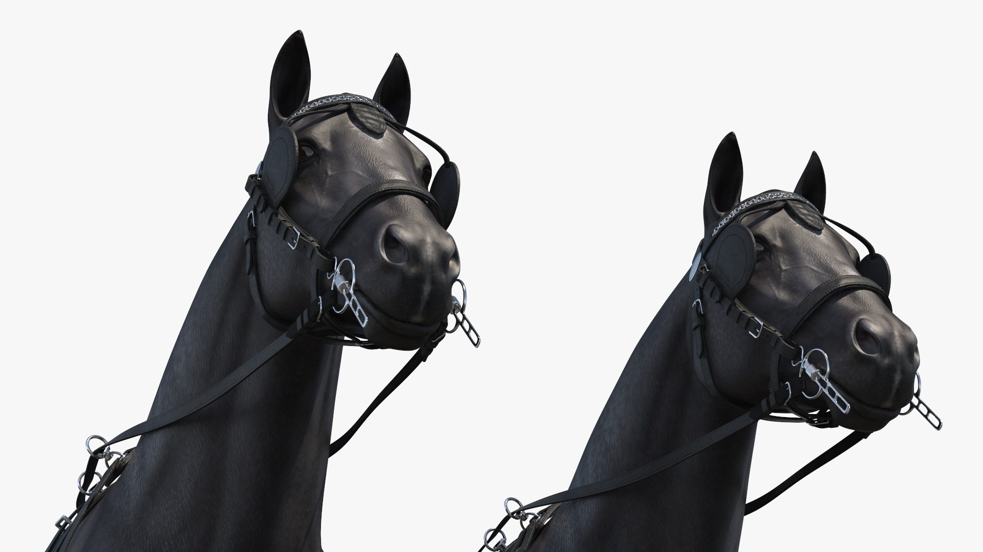3D Pair of Black Breast Collar Harness Walking Pose https://p.turbosquid.com/ts-thumb/6S/uGX3T2/9f/pair_of_black_breast_collar_harness_walking_pose_009/jpg/1740734670/1920x1080/fit_q87/12d20c287814855bc57ef46c25cb737231145663/pair_of_black_breast_collar_harness_walking_pose_009.jpg