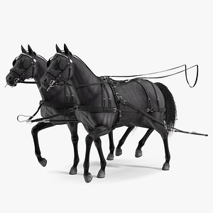 3D Pair of Black Breast Collar Harness Walking Pose