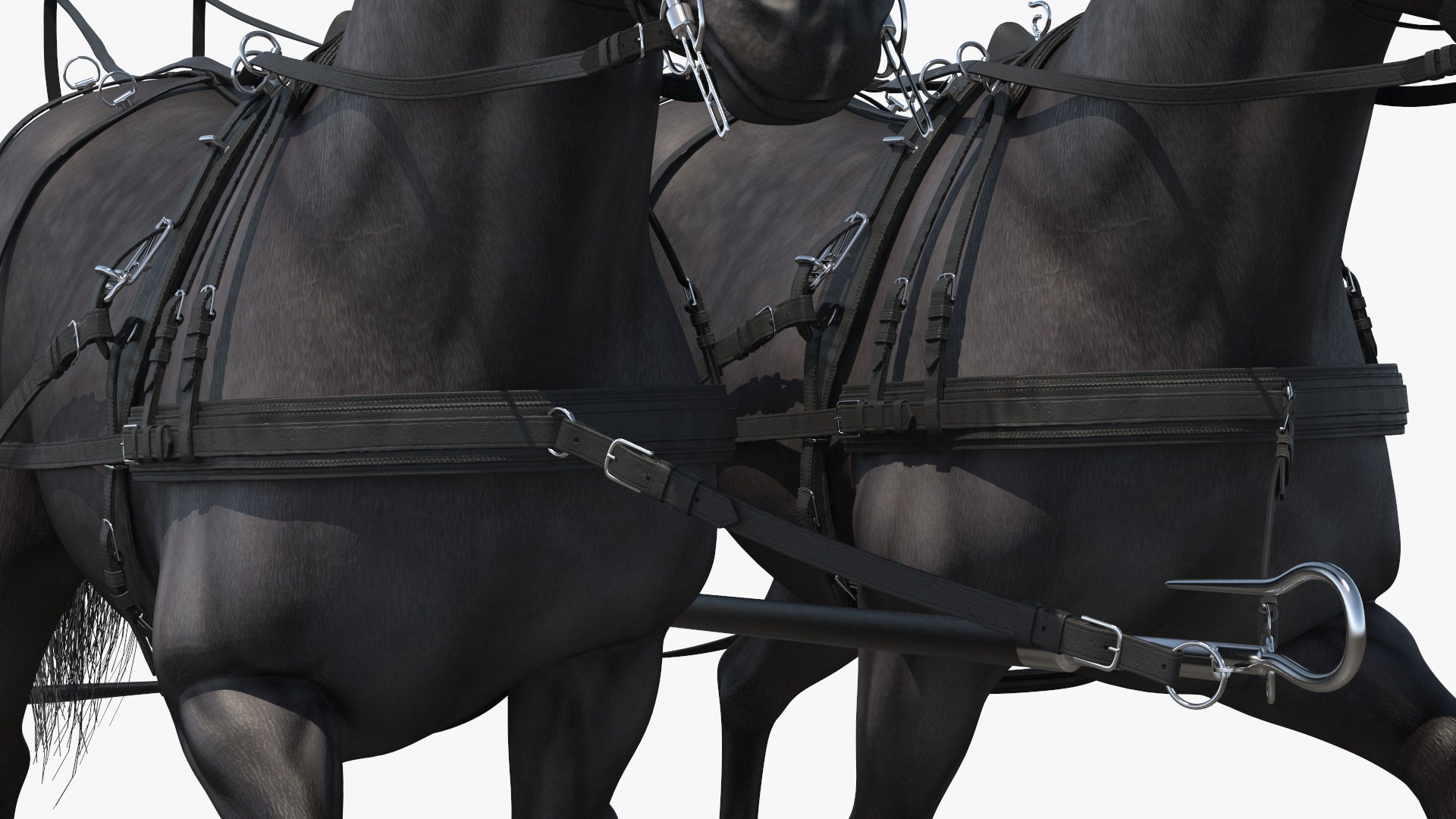 3D Pair of Black Breast Collar Harness Walking Pose https://p.turbosquid.com/ts-thumb/6S/uGX3T2/hM/pair_of_black_breast_collar_harness_walking_pose_011/jpg/1740734678/1920x1080/fit_q87/9230b458c387fb744d90fb80b2b6bcaeab8573c9/pair_of_black_breast_collar_harness_walking_pose_011.jpg