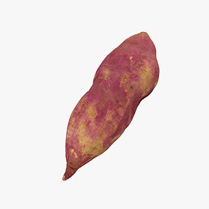 Purple Sweet Potato - Extreme Definition 3D Scanned 3D model