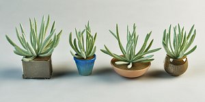 max set plants pot