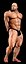 Bodybuilder