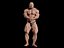 Bodybuilder