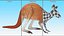 Kangaroo Stands on Four Paws 3D
