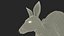 Kangaroo Stands on Four Paws 3D
