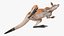 Kangaroo Stands on Four Paws 3D