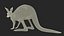 Kangaroo Stands on Four Paws 3D