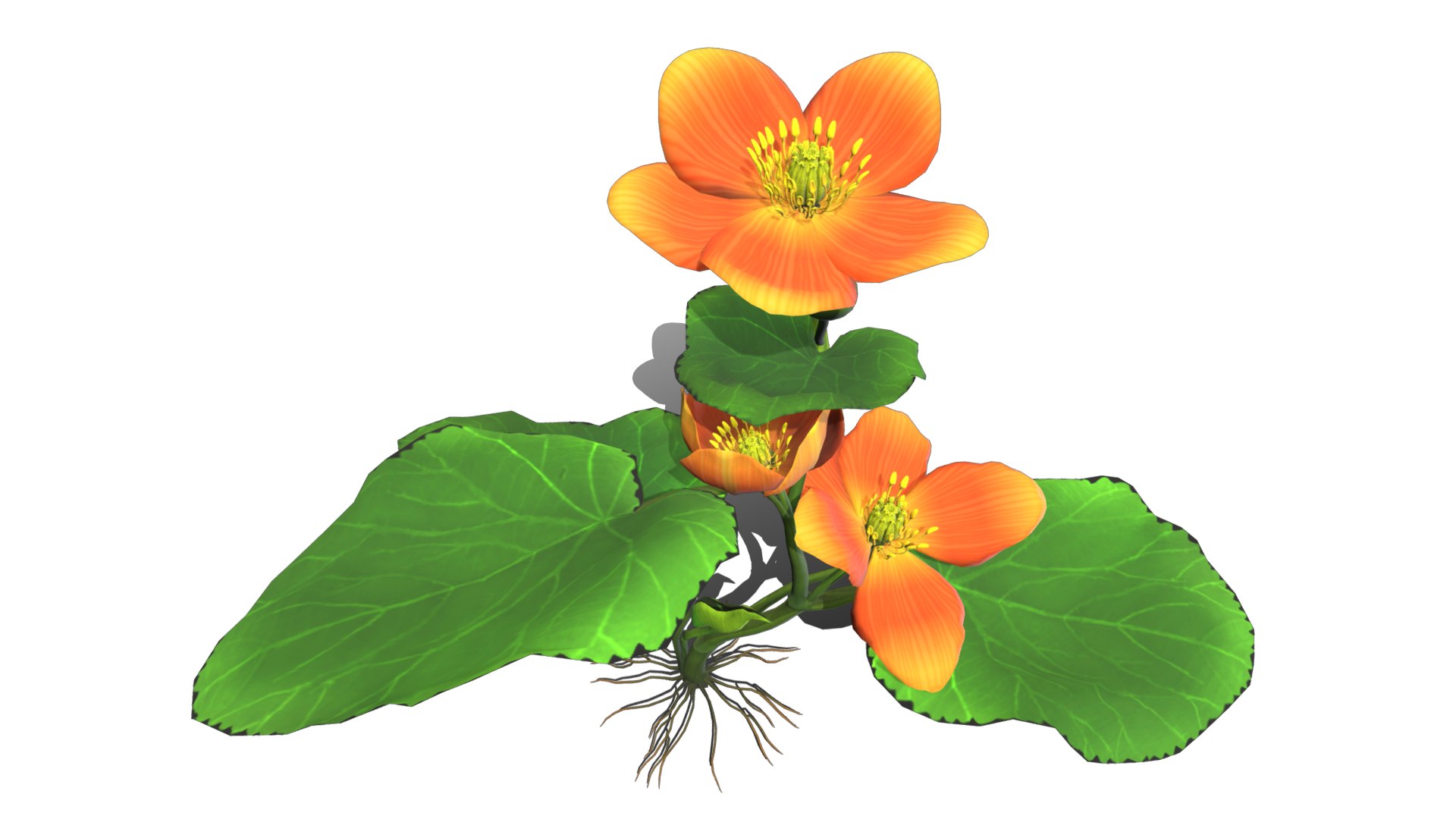 3D flower faroe https://p.turbosquid.com/ts-thumb/6T/EW1SE9/6neIuGwt/flower_faroe_image6/png/1559665680/1920x1080/fit_q87/c470c4089ed33817438839593105e0f9729407d4/flower_faroe_image6.jpg