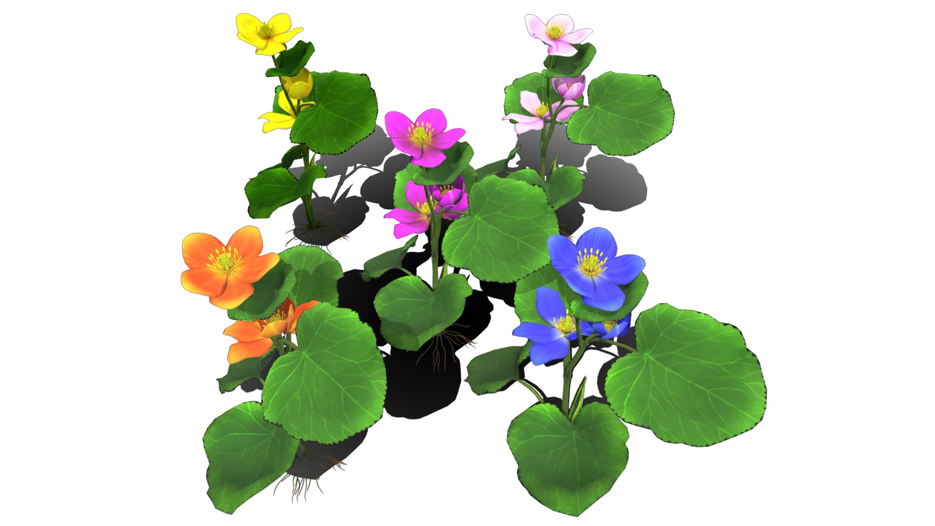 3D flower faroe https://p.turbosquid.com/ts-thumb/6T/EW1SE9/96krOwl7/flower_faroe_image1/png/1559665530/1920x1080/fit_q87/f9c1b54564d5644613c3a9ff0478c2a986262b8d/flower_faroe_image1.jpg