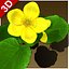 Flower Faroe