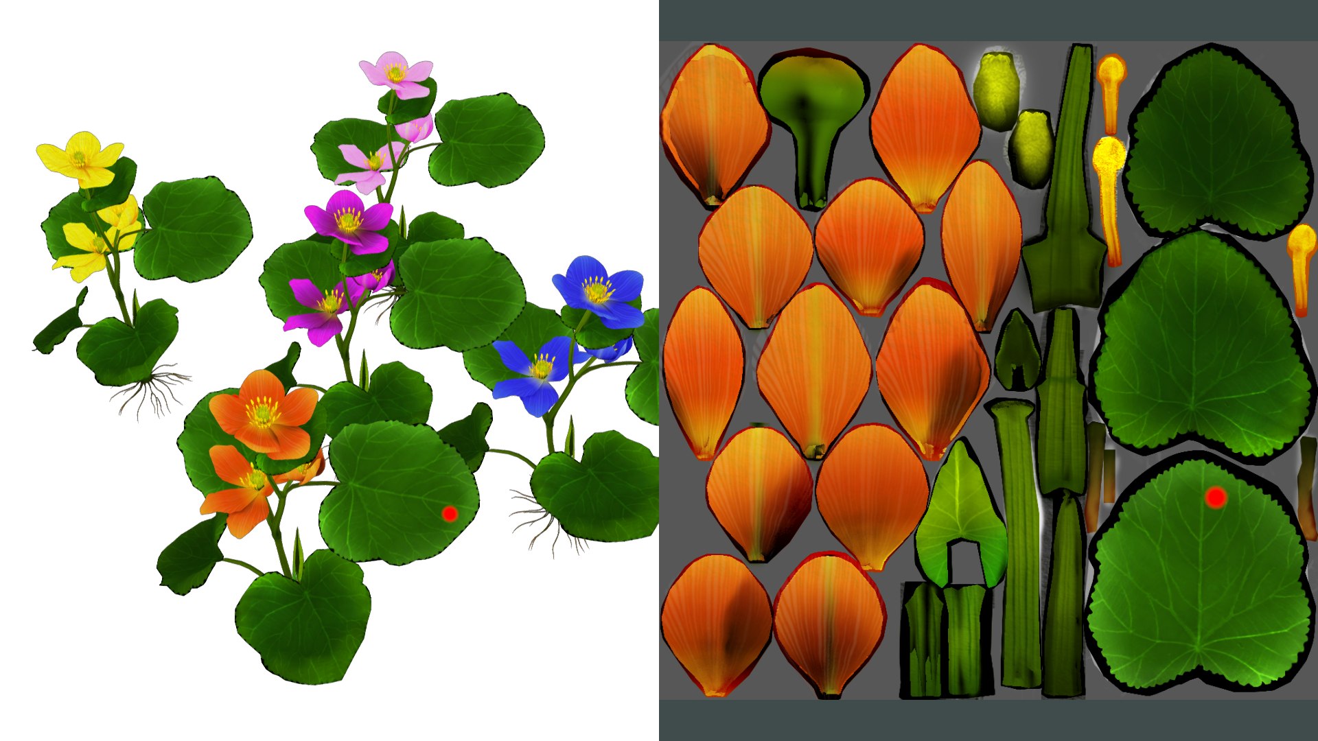 3D flower faroe https://p.turbosquid.com/ts-thumb/6T/EW1SE9/ZG3vBi9i/flower_faroe_image3/png/1559665608/1920x1080/fit_q87/7cc2c5cb93cd9f35003f499d44fce0f66680b390/flower_faroe_image3.jpg