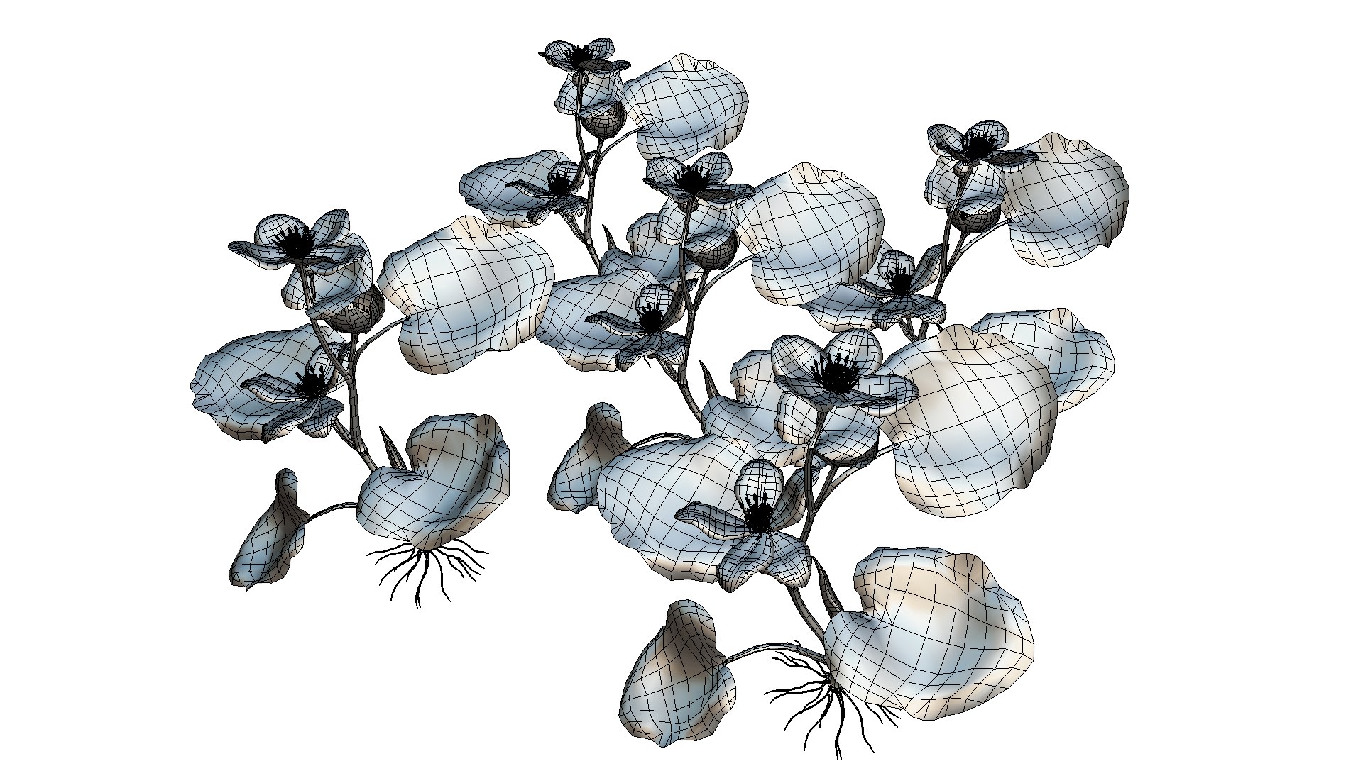 3D flower faroe https://p.turbosquid.com/ts-thumb/6T/EW1SE9/wM0SPRgA/flower_faroe_image4/png/1559665632/1920x1080/fit_q87/0aa553c5ba4d903f6055b6fd46fe522edcbfbe9f/flower_faroe_image4.jpg