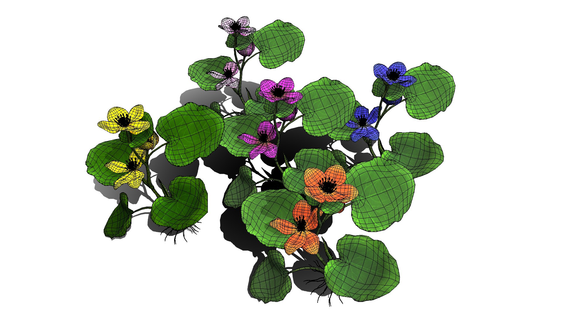 3D flower faroe https://p.turbosquid.com/ts-thumb/6T/EW1SE9/zeye4Yag/flower_faroe_image2/png/1559665588/1920x1080/fit_q87/b3d21951b09a91ac8bd86a7242583ebb5ed08d9d/flower_faroe_image2.jpg