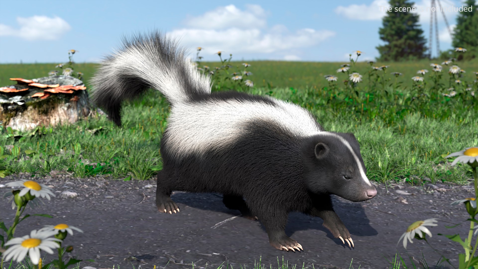 Striped Skunk Wild Animal Walk Fur Animated Rigged For Blender 3D Model ...