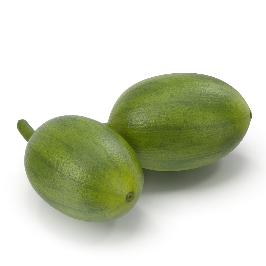 Green Coffee Bean 3D model preview